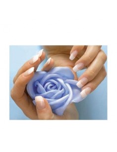 Pack completo bases de...