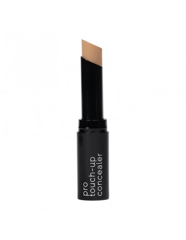 Pro Touch Up Concealer