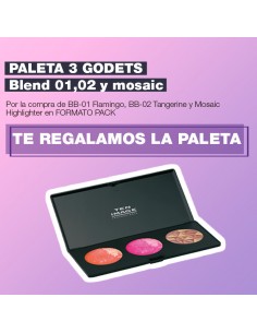 Paleta Blend&Blush y Mosaic...